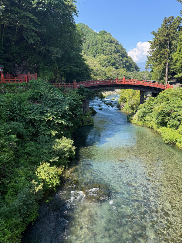 Discover the Japanese Beauty Secret to Beautiful Hair